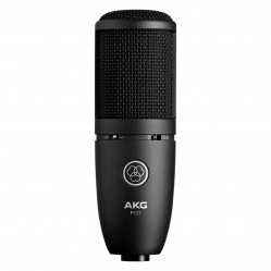 AKG  P120 High-performance general purpose recording microphone