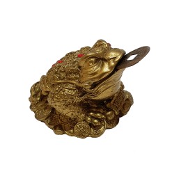 Feng Shui Frog with coin in mouth