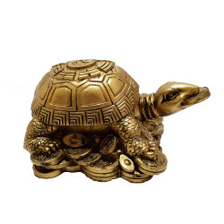 Tortoise With Coin 7cm